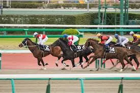 競馬シリーズ